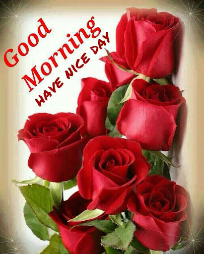 Updated Good Morning Flowers And Roses Messages Images Gif Pc Android App Mod Download 2021