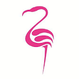Flamingo St. Pete icon