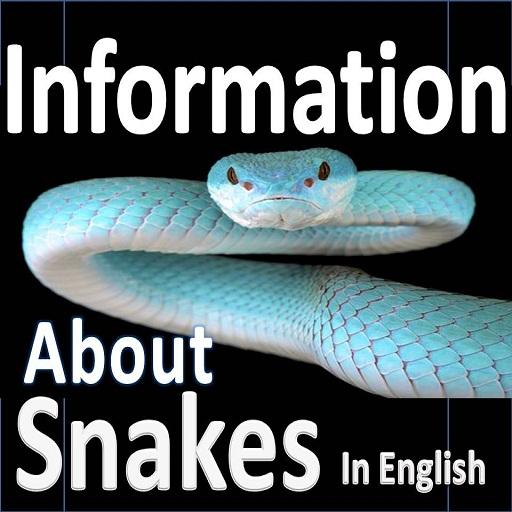Types Of Snakes - Snake Species - ENGLISH