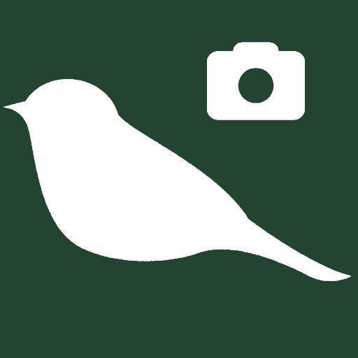 BirdyCam logo