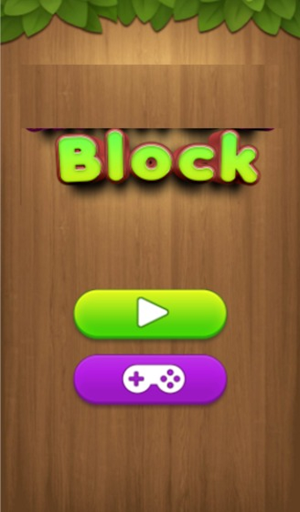 Block Game