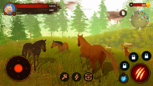 The Horse 3