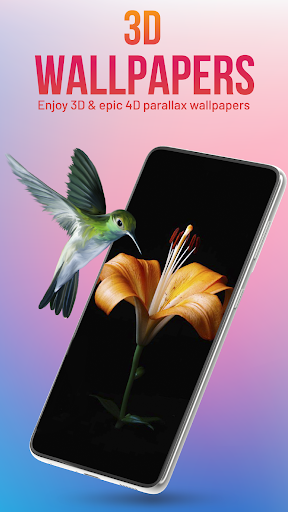 Video Live Wallpapers HD