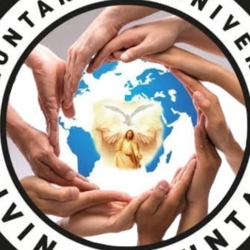 Divina Voluntad logo