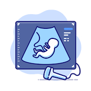 Pregnancy Ultrasound Guide