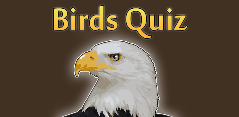 Uccelli: Quiz