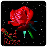 Red Rose Star Sky Theme icon