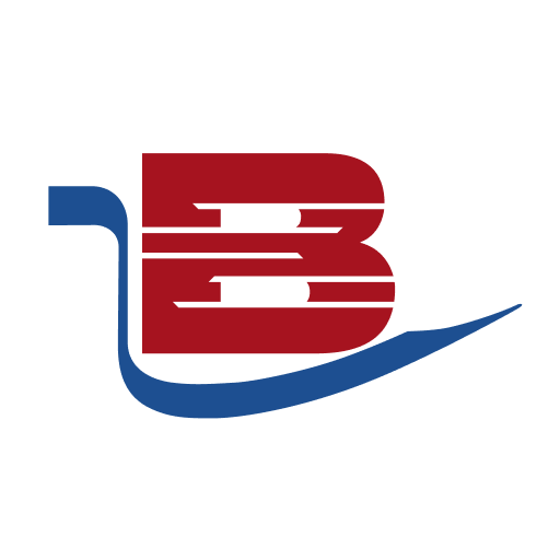 Betsaide logo