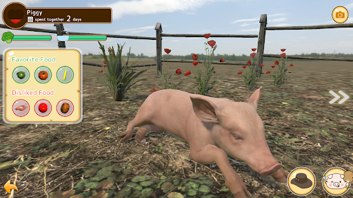 Piglet Screen 3