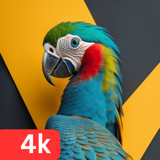 Parrot Wallpapers 4K