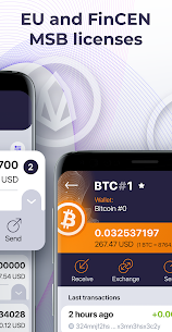OWNR Bitcoin wallet and Visa card. Blockchain, BTC 4
