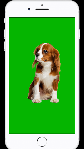 Android application Save the Lonely Dog screenshort