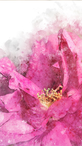 Android application peony flower wallpaper screenshort
