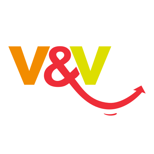 VyV Store logo