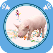 Top 20 Entertainment Apps Like Pig Sounds - Best Alternatives