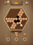screenshot of Wooden Hexagon Fit: Hexa Block