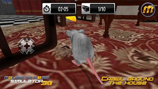 Mouse in Home Simulator 3D Unknown