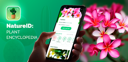 Natureid Plant Identification Apps On Google Play