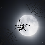 Spider-Web icon
