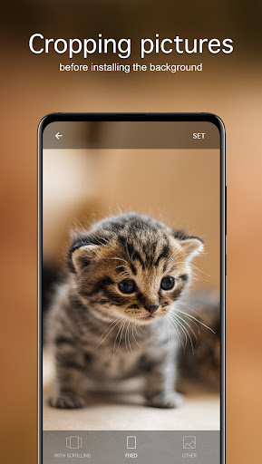 Screenshot of Cute Animal Wallpapers 4K