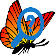 Butterfly Recognizer  Icon