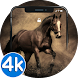 Horse Wallpapers - 4K HD Ru - Androidアプリ
