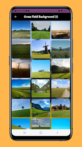 grass field background