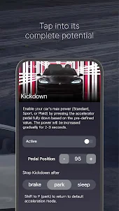 S3XY Buttons - Tesla Shortcuts