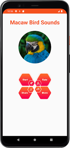 Macaw Bird Sounds Screen 2