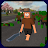 Icon image