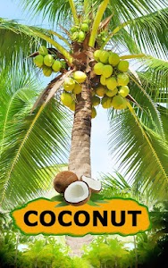 Coconut Unknown
