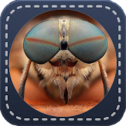 Top 50 Music & Audio Apps Like The most natural sounds of insects - Best Alternatives