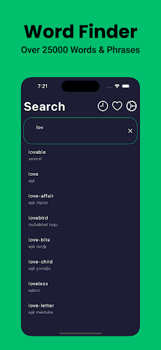 Turkish Dictionary English Screen 3