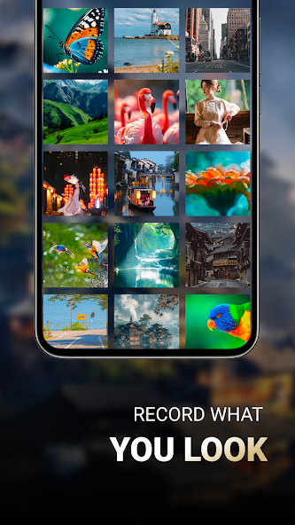 App Screenshot 4