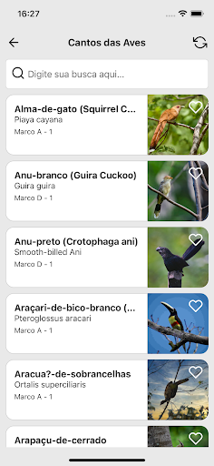 NazarethEco Aves Screen 3