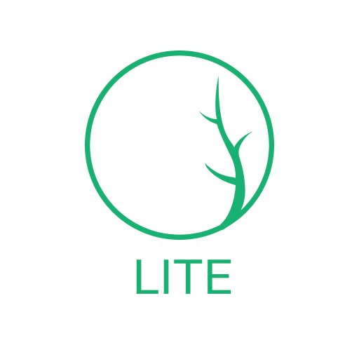 WorkBench Lite by AFEX Laai af op Windows