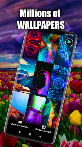 Tulip Wallpaper Live HD/3D/4K Screen 3
