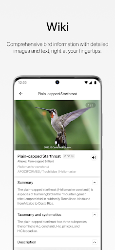 Aboutbirds ekran görüntüsü