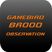 Gamebird Brood Observation