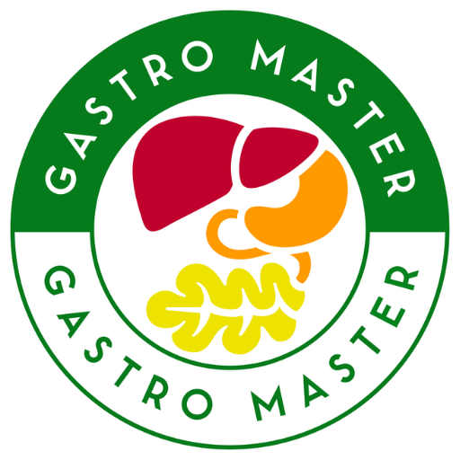 GASTRO MASTER 1.4.60.1 Icon