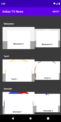 Indian TV News Screen 2