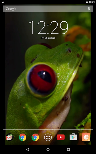 Green Frog Live Wallpaper
