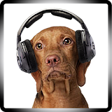 Dog Hearing Test icon