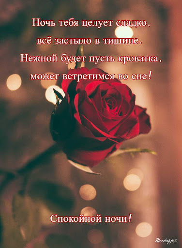 Спокойной ночи любовь моя Screen 3