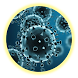 微生物学 - Androidアプリ