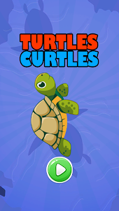 Turtle Curtle