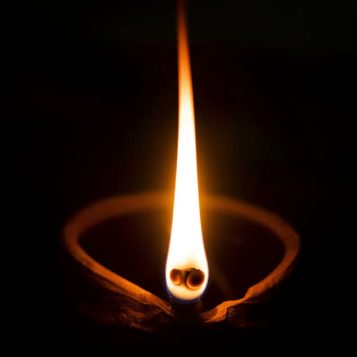 Flash Light Torch Light™ logo