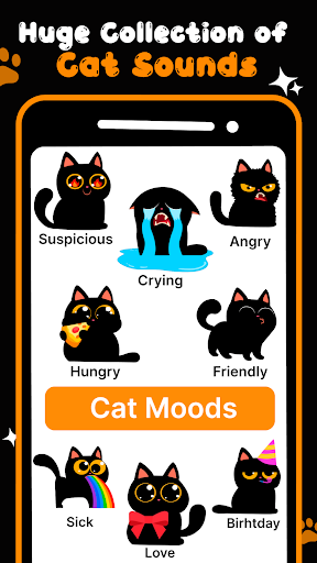 Kitty Talk Meow Cat Translator Screen 3