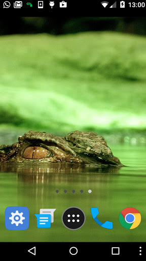 Android application alligator wallpaper screenshort