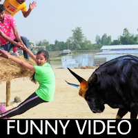 Download Funny Video-Joke Comedy video Free for Android - Funny Video-Joke  Comedy video APK Download 
